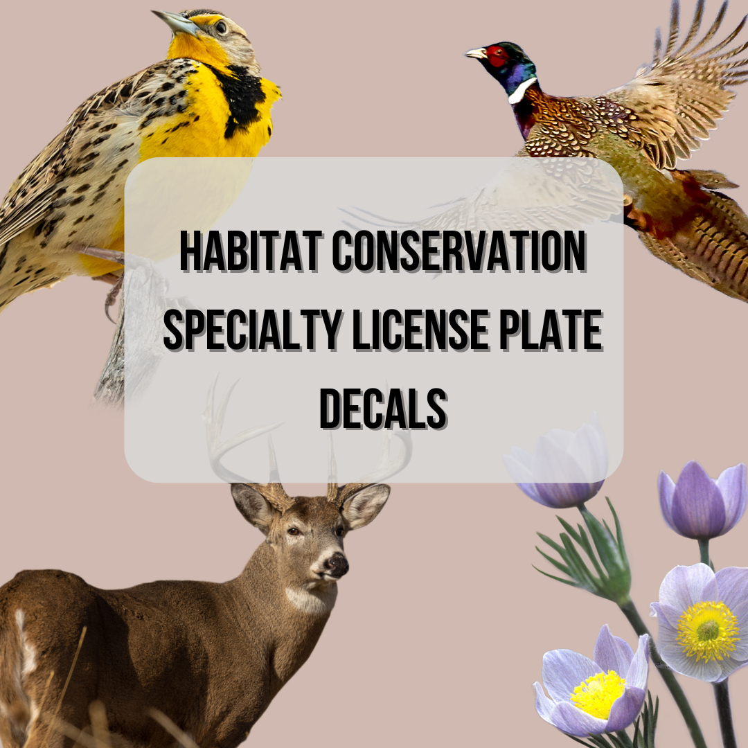 South Dakota GFP License - Inve
